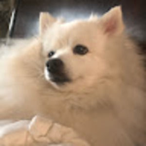 Meet your Posher, Marcy